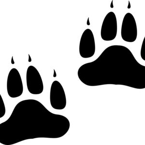 Bear   Clipart 2 Thumbnail