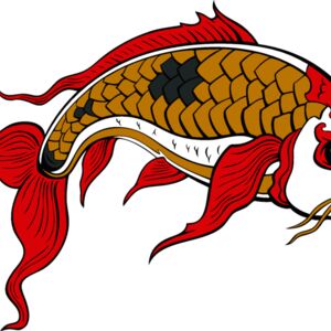 es2asiankoi008clr Thumbnail