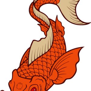 es2asiankoi006clr Thumbnail