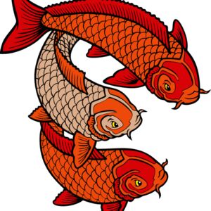 eskoi04clr Thumbnail