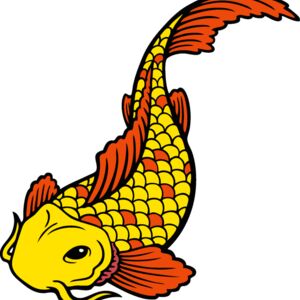 es2asiankoi001clr Thumbnail