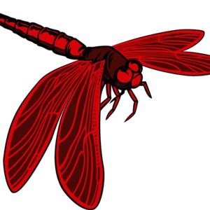 esdragonfly001clr Thumbnail