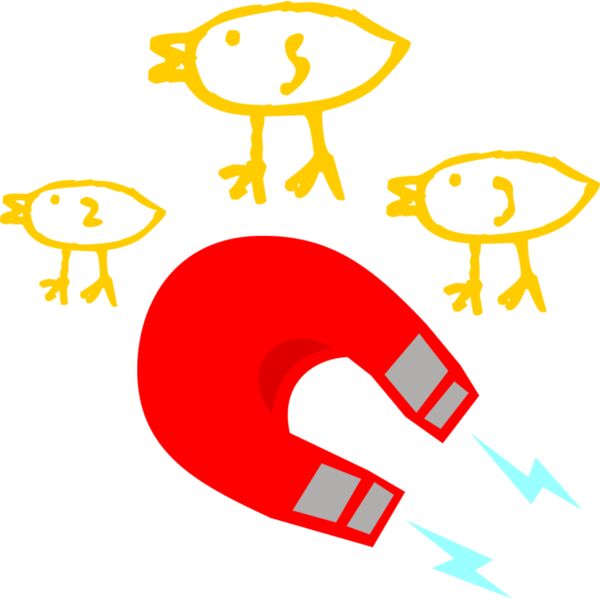 Chic Magnet Thumbnail