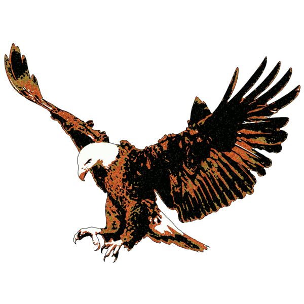 Eagle Thumbnail