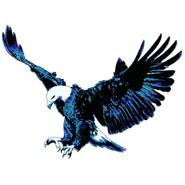 Eagle Thumbnail