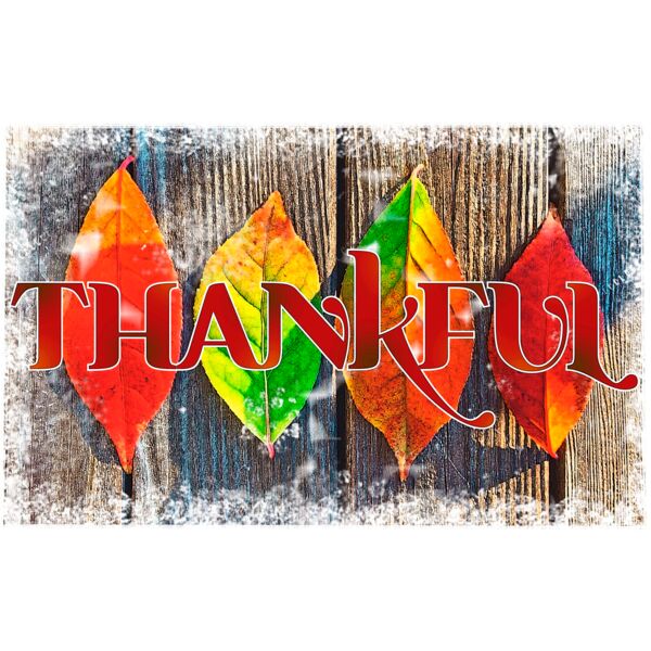 ThankfulLeaves Thumbnail
