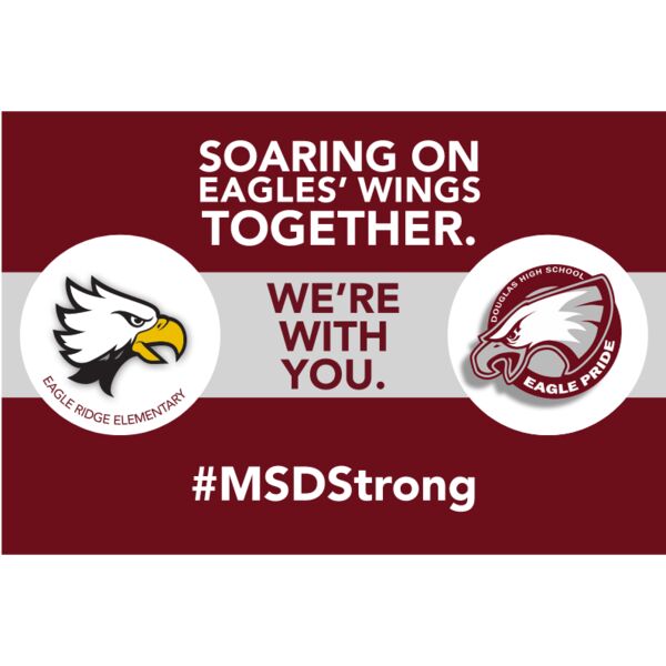 MSDStrong Thumbnail
