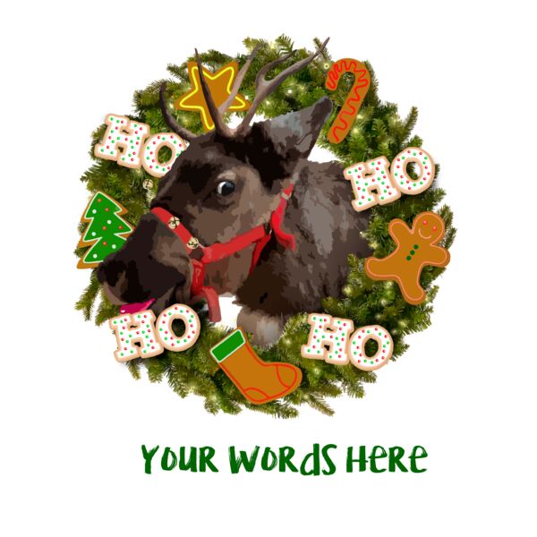 Reindeer Christmas Cookie Wreath Thumbnail