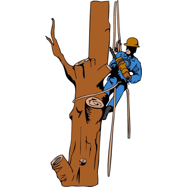 Gardening and Landscape Thumbnail