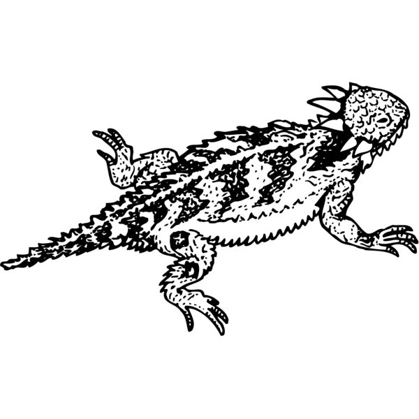 Amphibious Animals Thumbnail