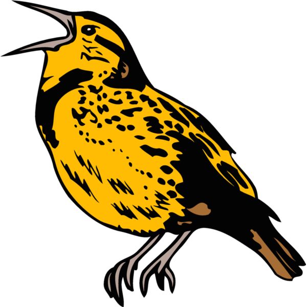 State Themes and Mascots Thumbnail