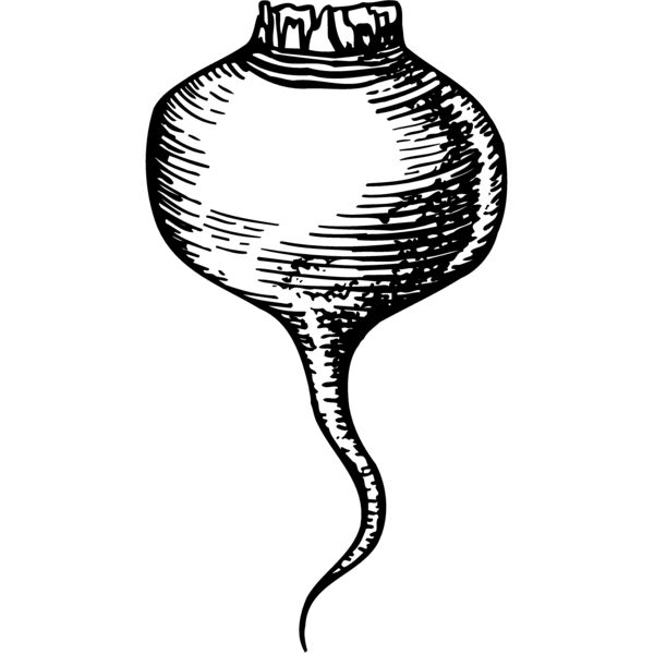 Fruits & Vegetables Thumbnail