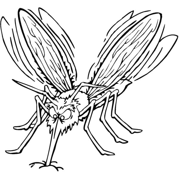 Mosquitos Thumbnail